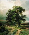 roble 1865 paisaje clásico Ivan Ivanovich árboles